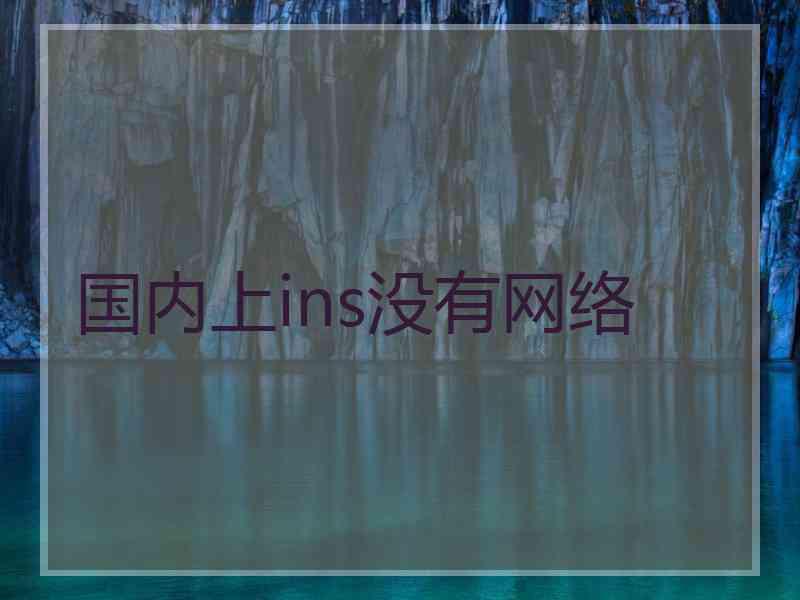 国内上ins没有网络