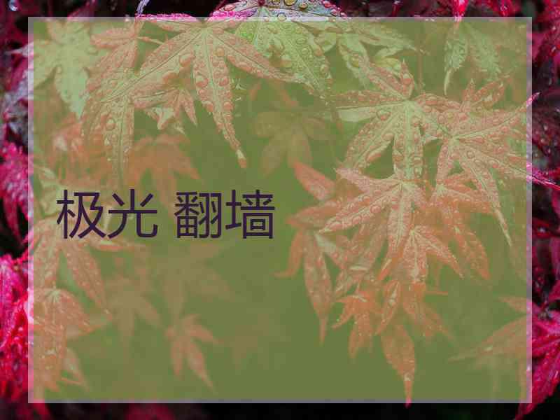 极光 翻墙