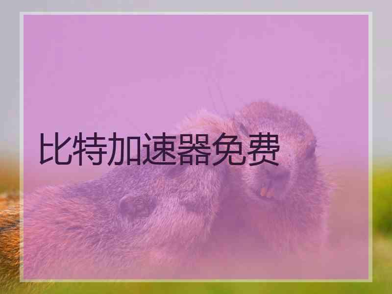 比特加速器免费