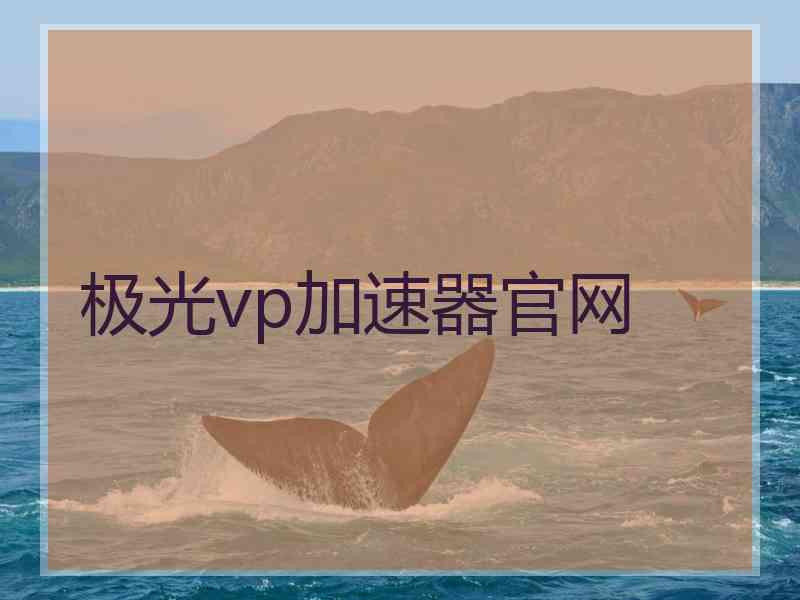 极光vp加速器官网