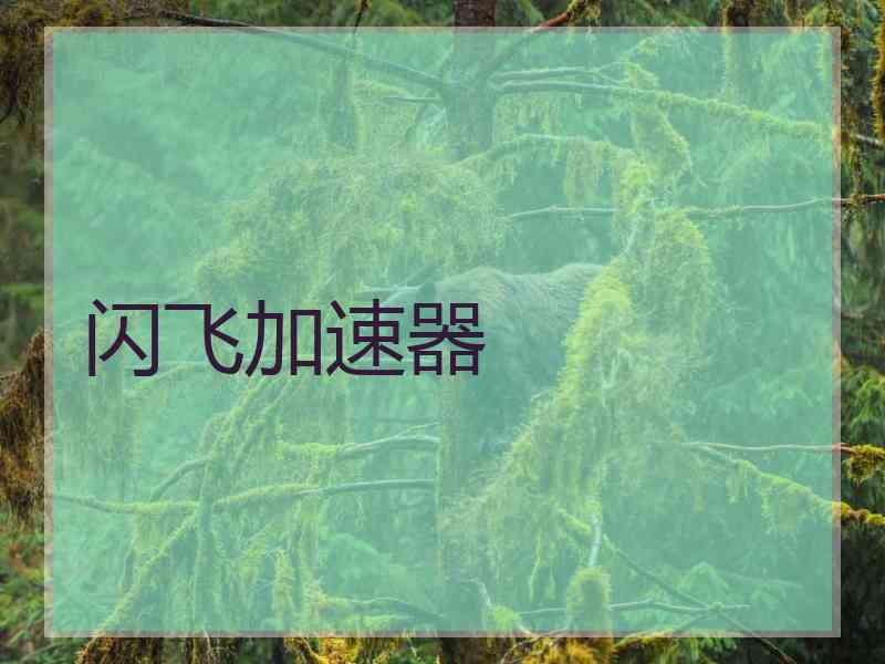 闪飞加速器