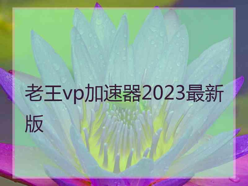 老王vp加速器2023最新版