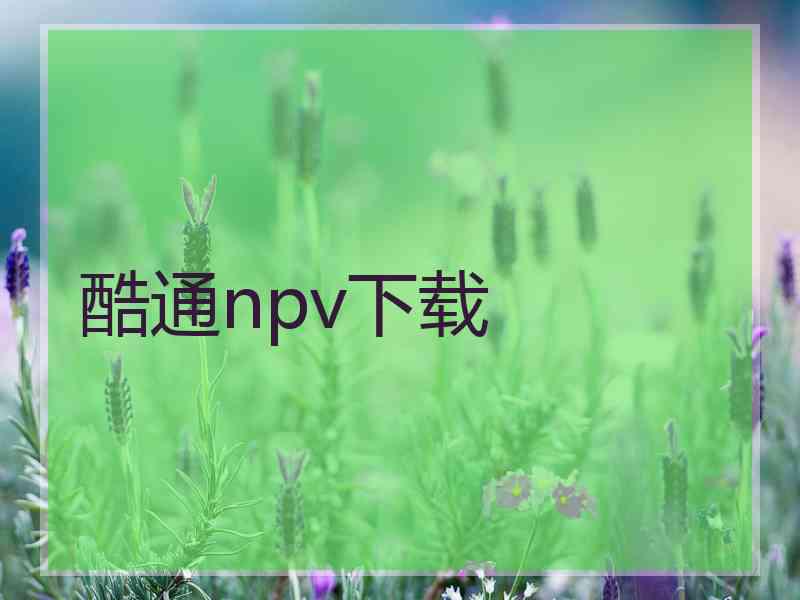 酷通npv下载