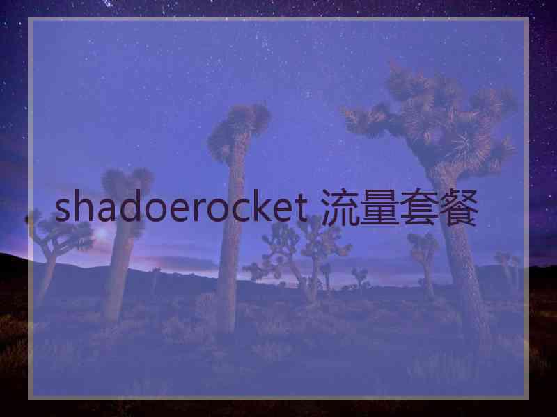 shadoerocket 流量套餐