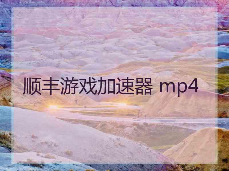 顺丰游戏加速器 mp4