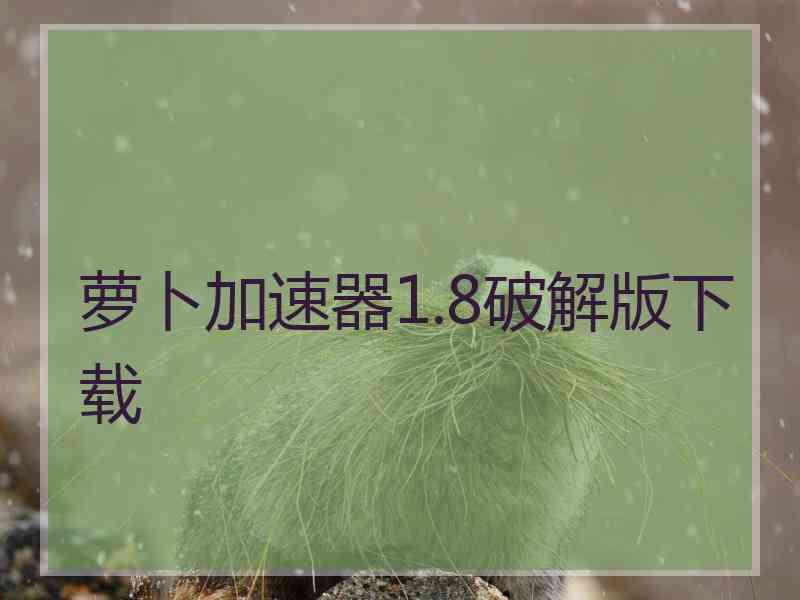 萝卜加速器1.8破解版下载