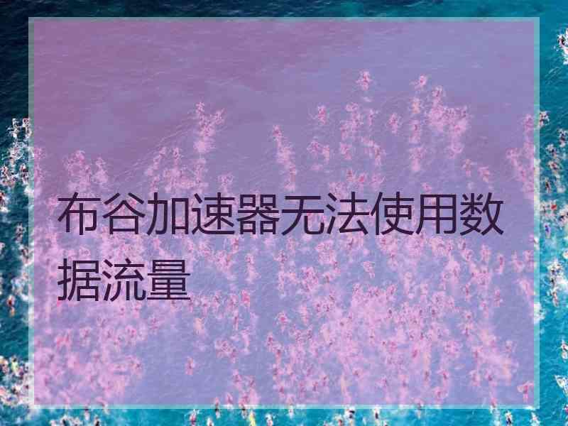 布谷加速器无法使用数据流量