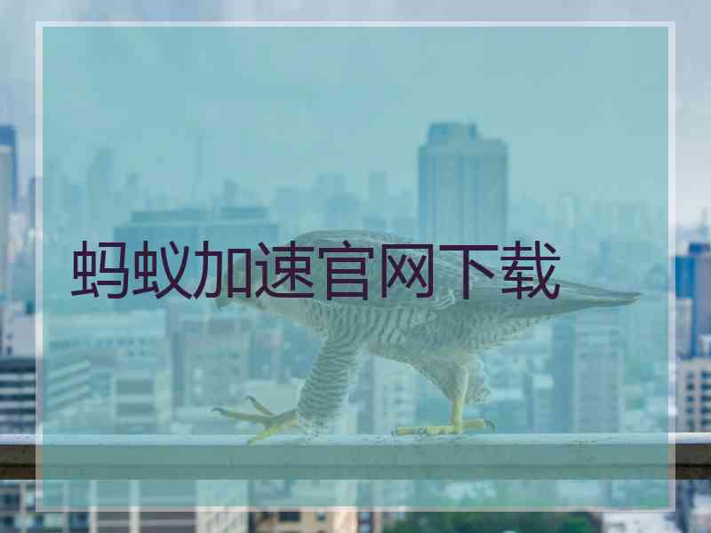 蚂蚁加速官网下载