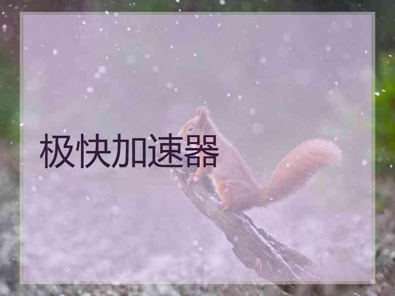 极快加速器