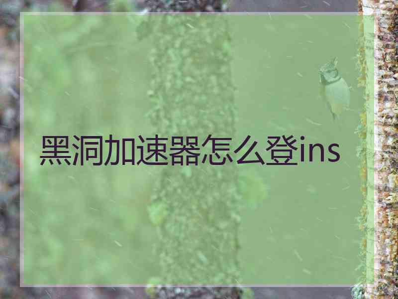黑洞加速器怎么登ins