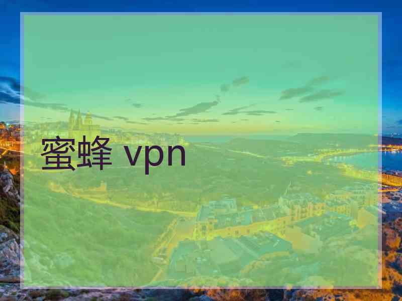 蜜蜂 vpn