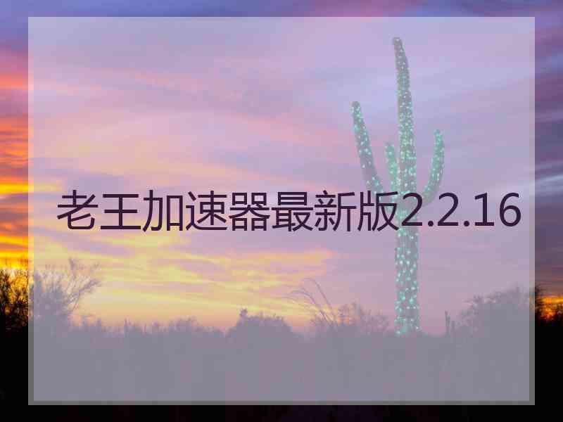 老王加速器最新版2.2.16