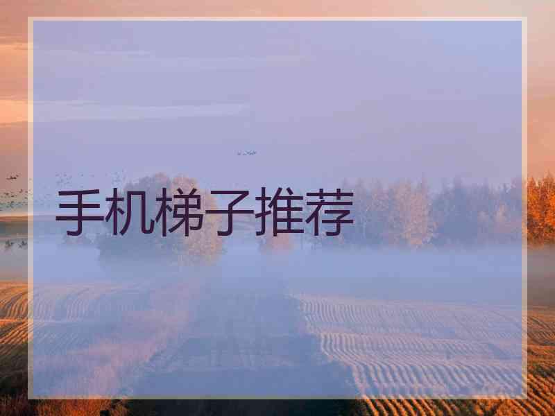 手机梯子推荐