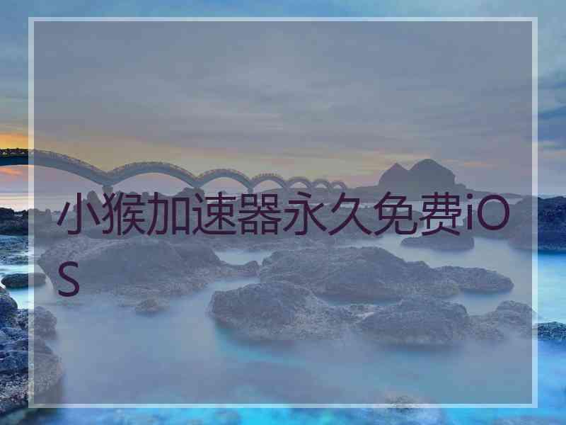小猴加速器永久免费iOS
