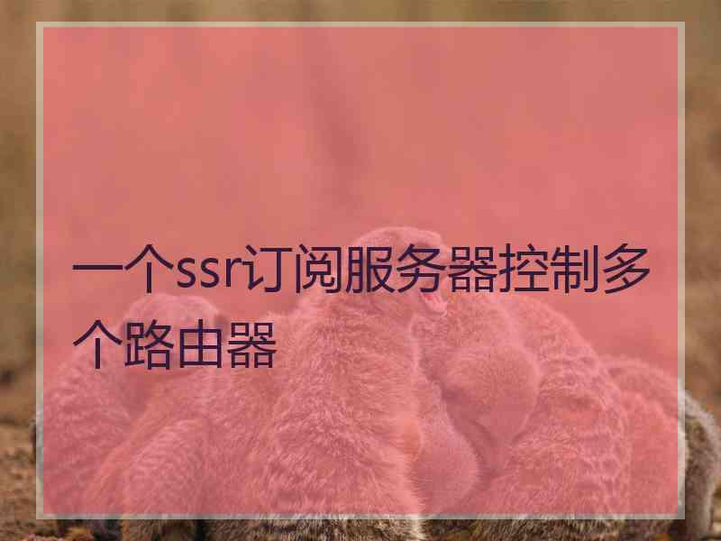 一个ssr订阅服务器控制多个路由器