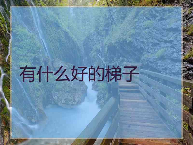 有什么好的梯子