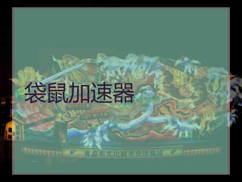 袋鼠加速器