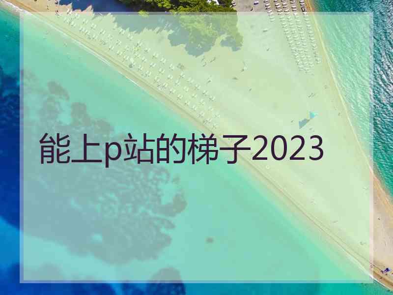 能上p站的梯子2023