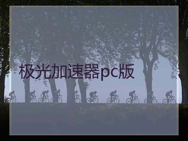 极光加速器pc版