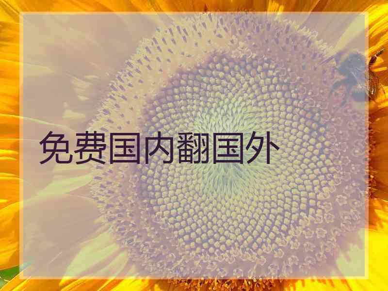 免费国内翻国外
