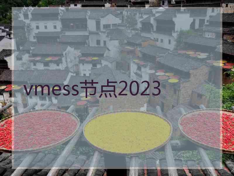 vmess节点2023