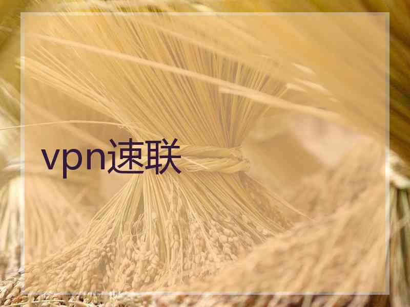 vpn速联