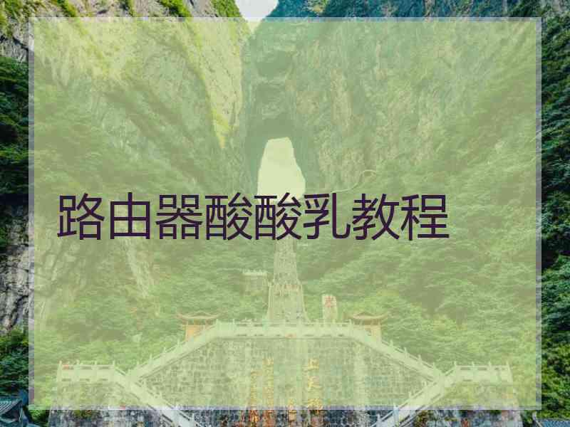 路由器酸酸乳教程