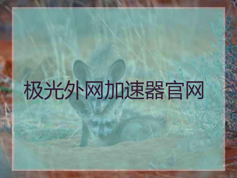 极光外网加速器官网