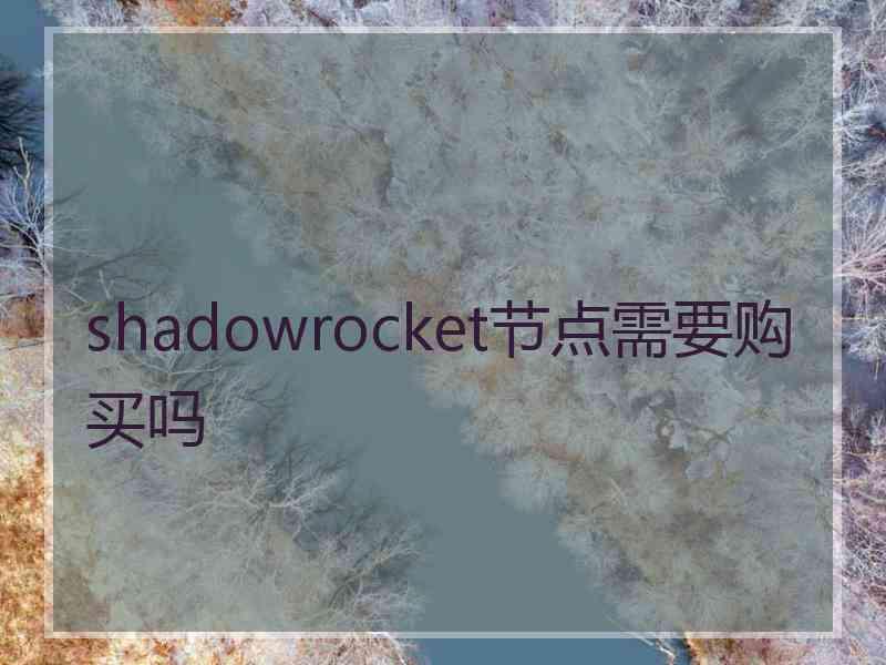 shadowrocket节点需要购买吗