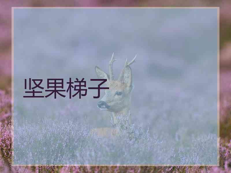 坚果梯子