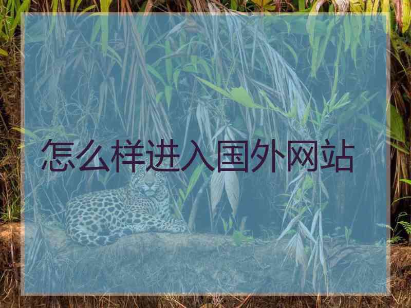 怎么样进入国外网站