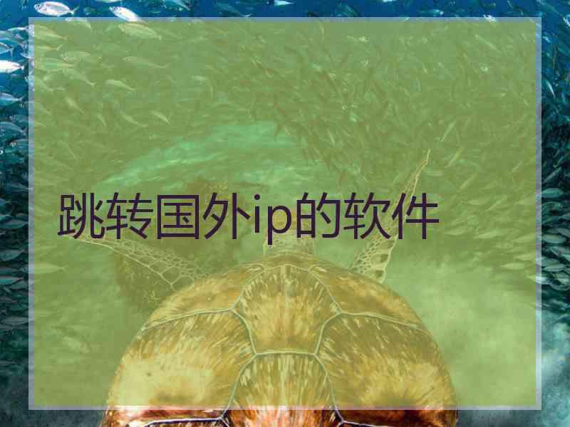 跳转国外ip的软件