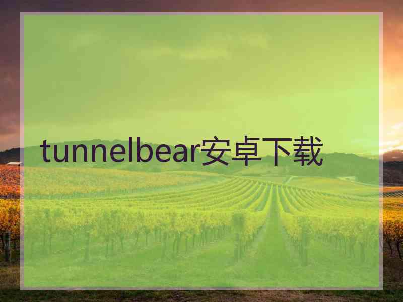 tunnelbear安卓下载