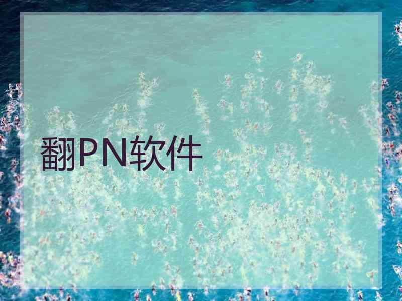 翻PN软件