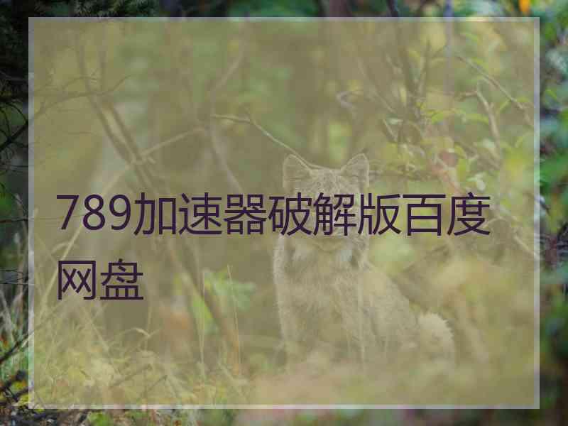 789加速器破解版百度网盘