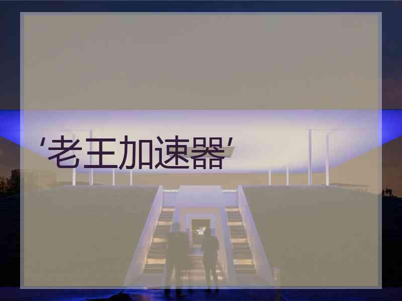 ‘老王加速器’