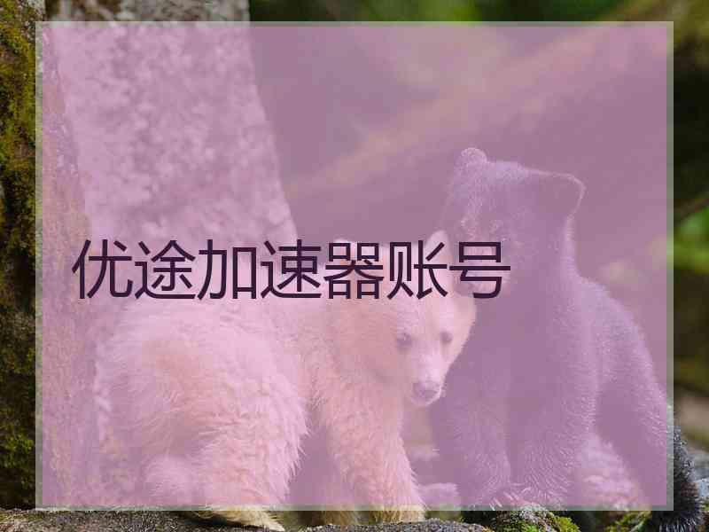 优途加速器账号