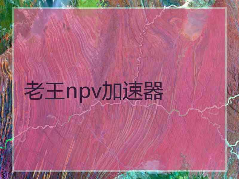 老王npv加速器