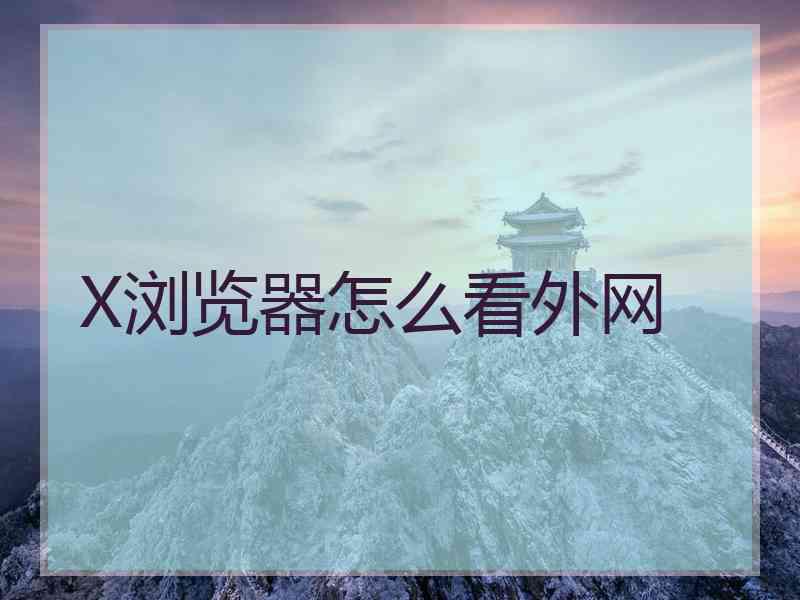 X浏览器怎么看外网