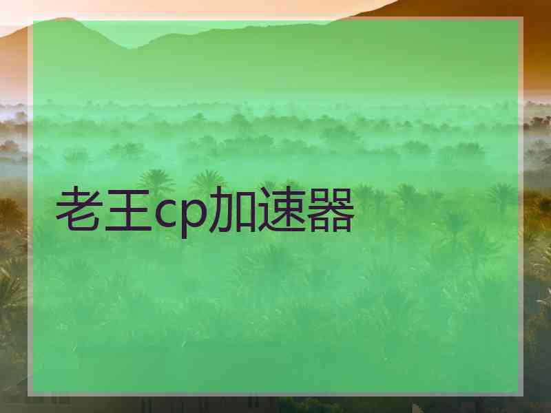 老王cp加速器