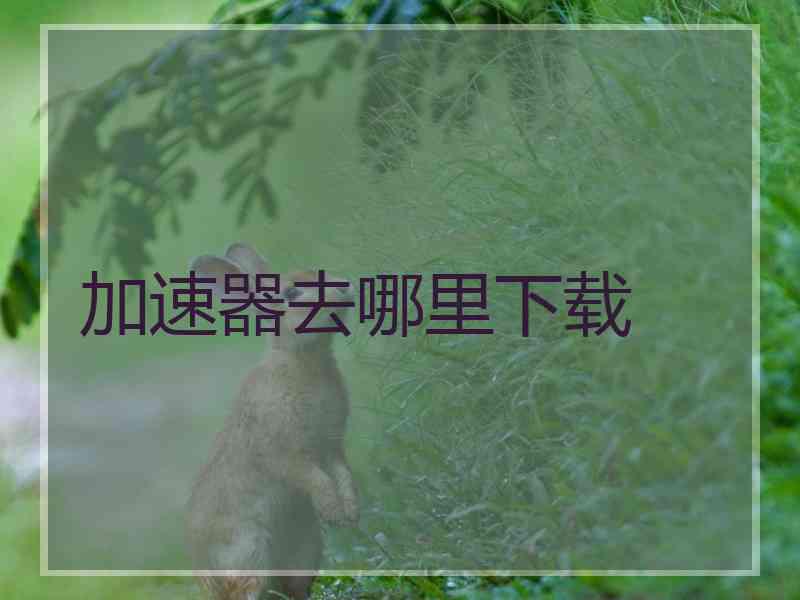 加速器去哪里下载