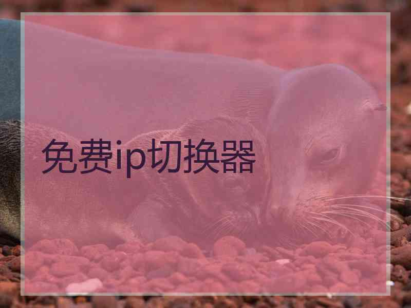 免费ip切换器