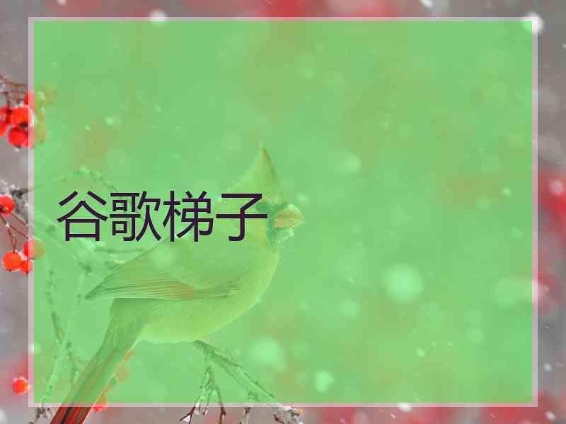 谷歌梯子