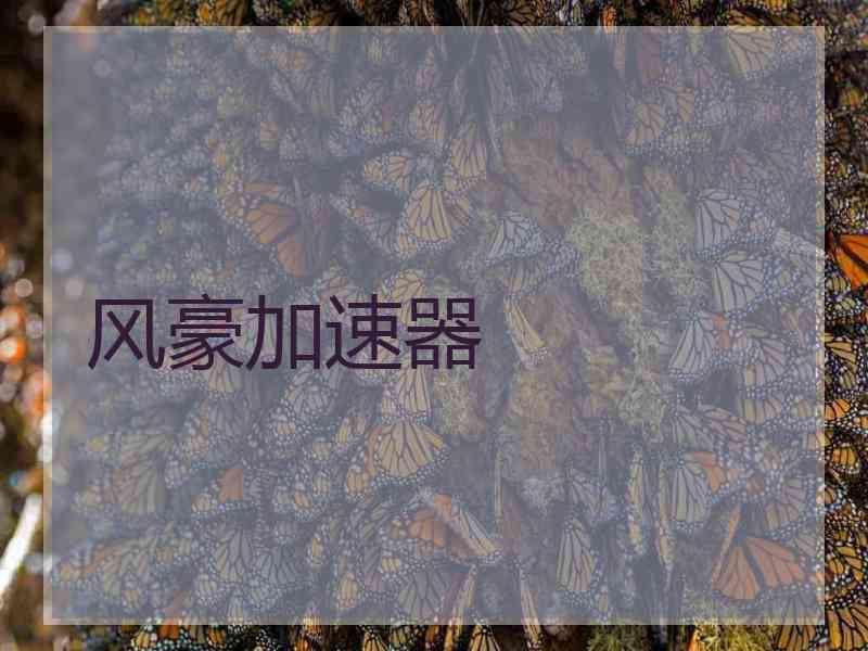 风豪加速器
