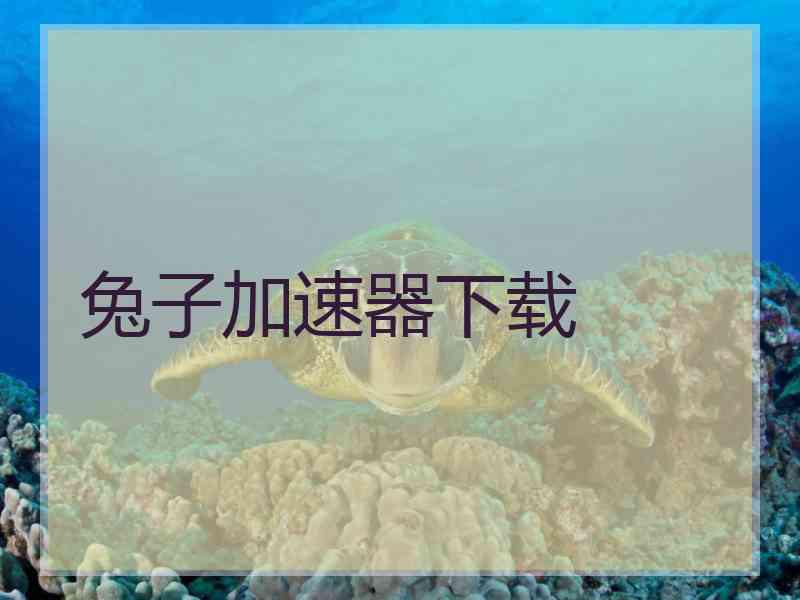 兔子加速器下载