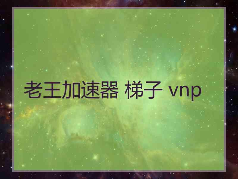 老王加速器 梯子 vnp