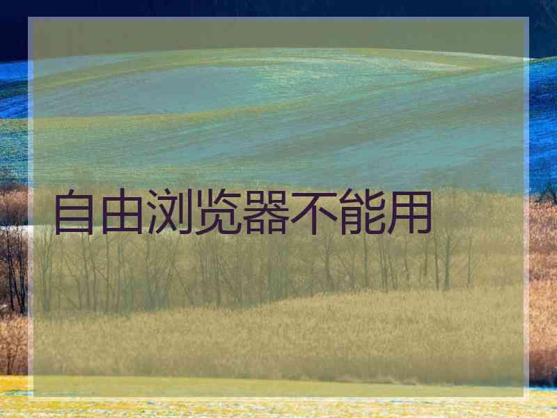 自由浏览器不能用