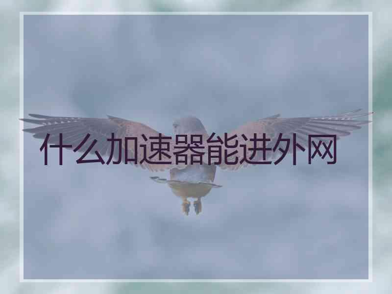 什么加速器能进外网