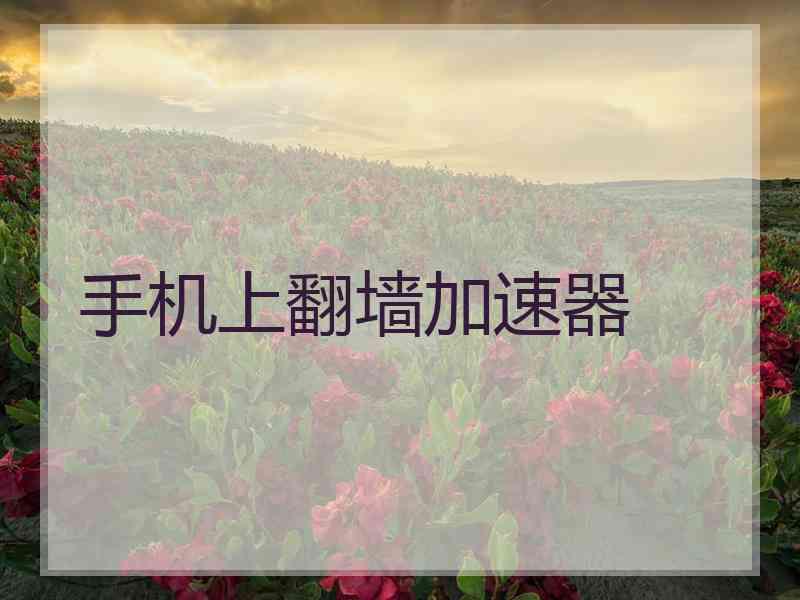 手机上翻墙加速器