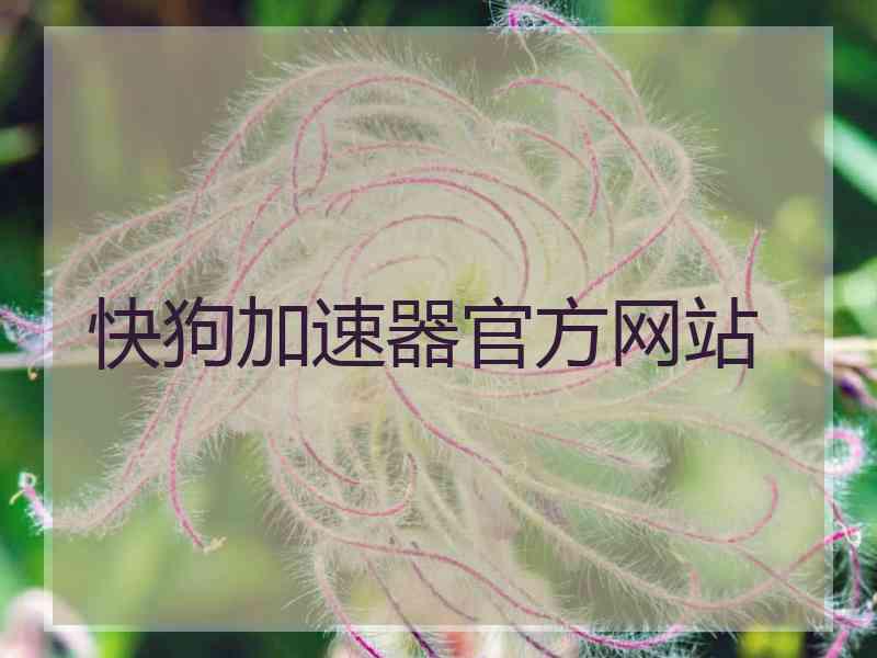 快狗加速器官方网站